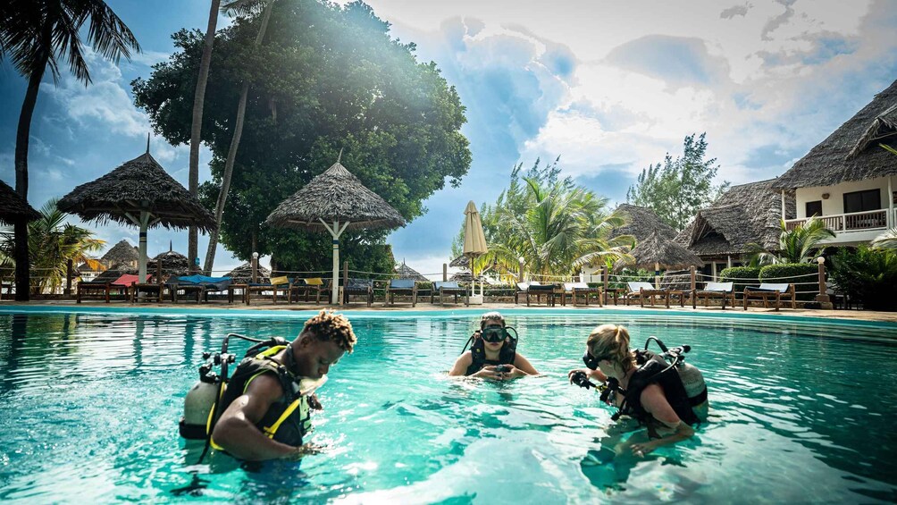 Picture 2 for Activity Zanzibar: 1 Day Scuba Diving Course for Beginners with Lunch