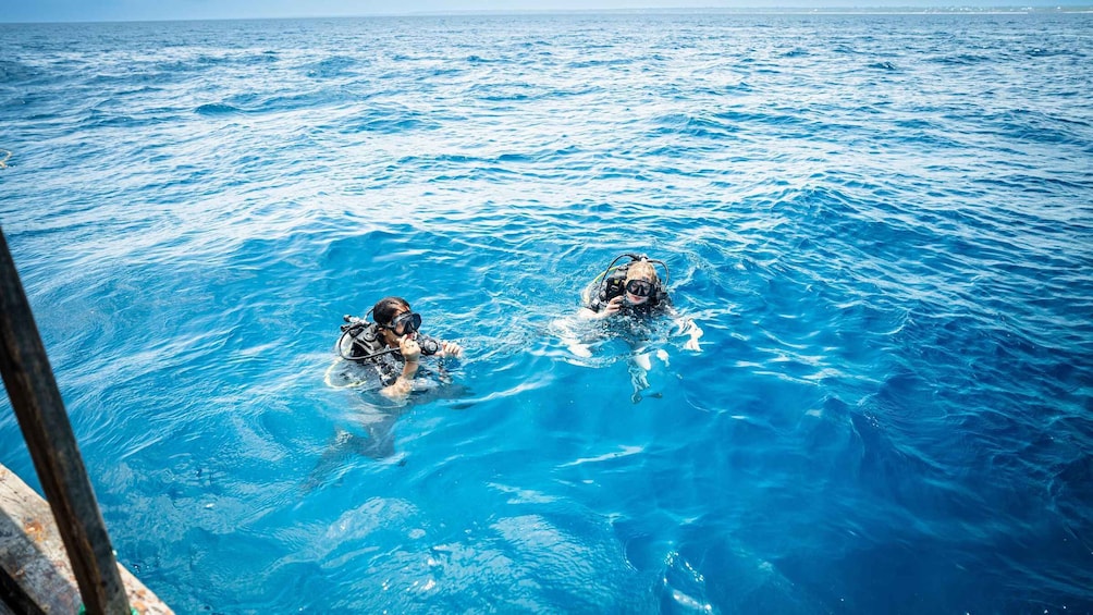 Picture 17 for Activity Zanzibar: 1 Day Scuba Diving Course for Beginners with Lunch