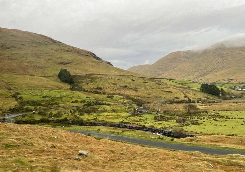 Picture 25 for Activity Small Group: Connemara, Sheepdog Show & Medieval Castle Tour