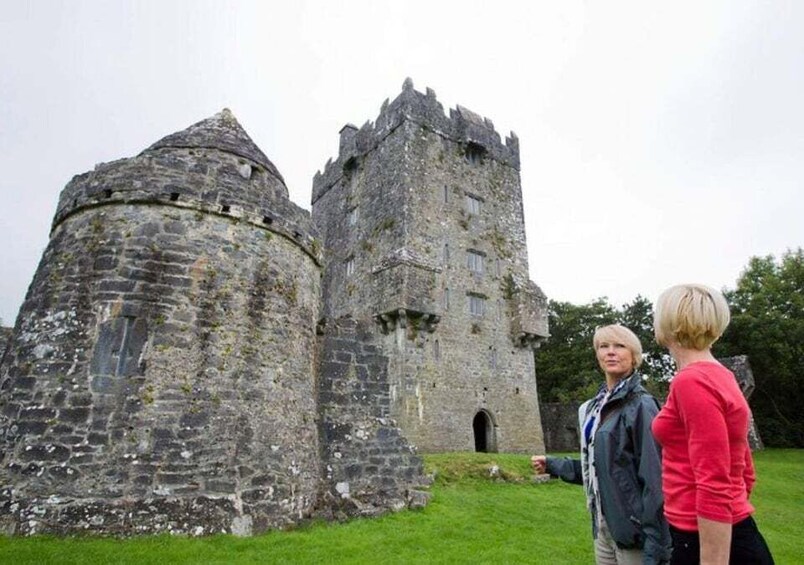 Picture 18 for Activity Galway: Connemara, Sheepdog Show and Medieval Castle Tour