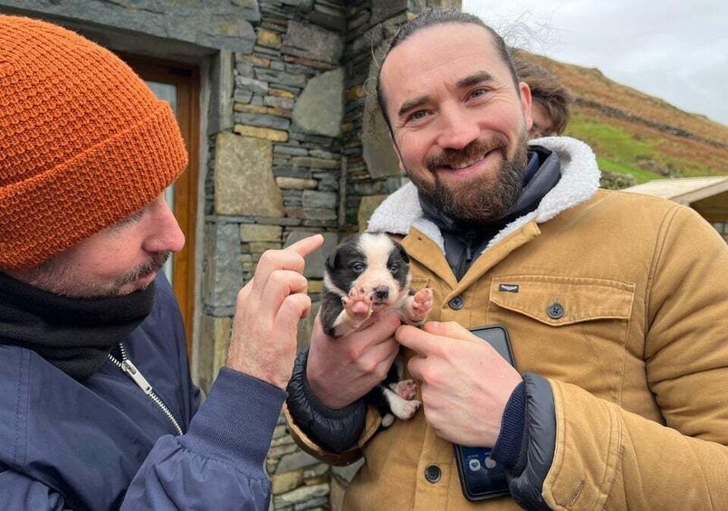 Picture 4 for Activity Small Group: Connemara, Sheepdog Show & Medieval Castle Tour