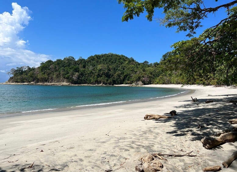 Picture 3 for Activity PRIVATE TOUR Manuel Antonio park