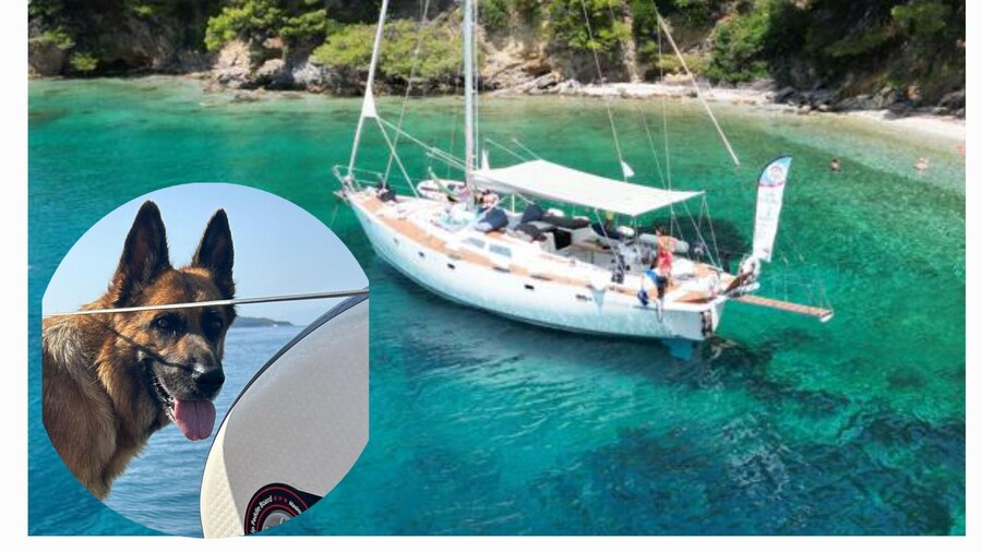 Picture 19 for Activity Skiathos: Day-Sailing Tour with Lunch on Board