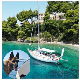 Skiathos: Day-Sailing Tour with Lunch on Board