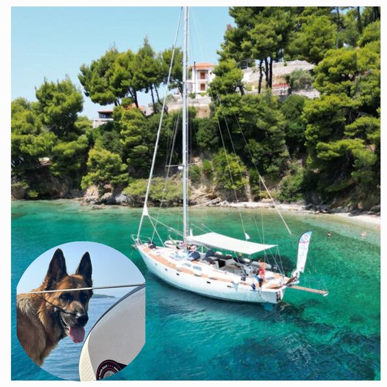 Picture 19 for Activity Skiathos: Day-Sailing Tour with Lunch on Board