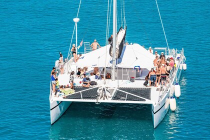 Excursión privada en catamarán a Isla Saona desde Punta Cana