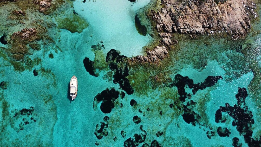 Picture 5 for Activity Archipelago of La Maddalena: tour in motorboat