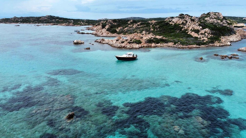 Picture 3 for Activity Archipelago of La Maddalena: tour in motorboat