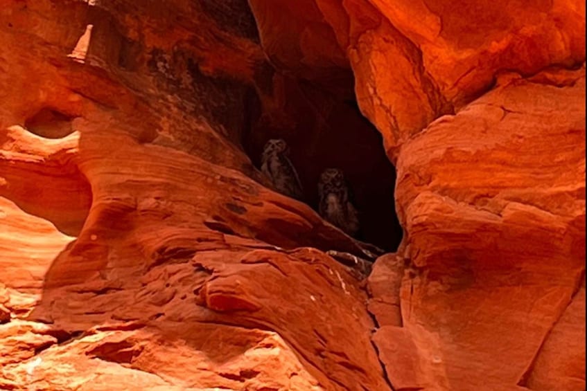 Picture 4 for Activity Antelope Canyon: Owl Canyon Guided Hiking Tour