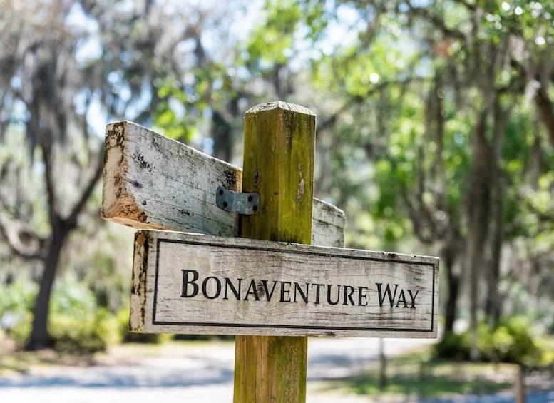 Picture 5 for Activity Savannah: Bonaventure Cemetery Tour