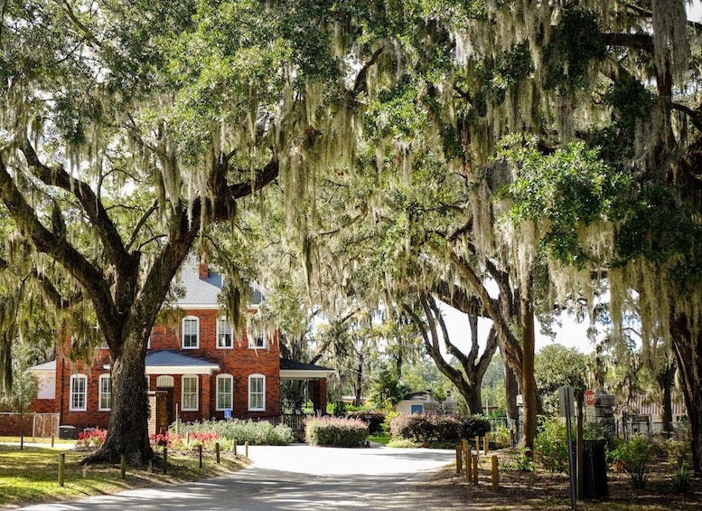 Picture 4 for Activity Savannah: Bonaventure Cemetery Tour