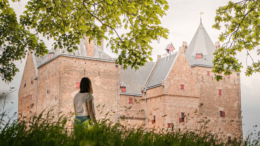 Picture 8 for Activity Loevestein Castle Entry Ticket