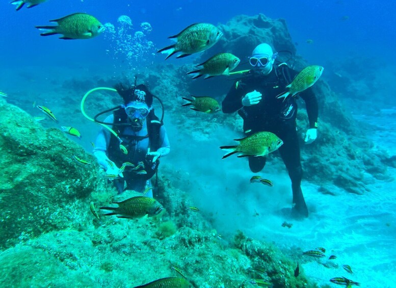 Picture 3 for Activity Diving course for beginners in turtle area Tenerife