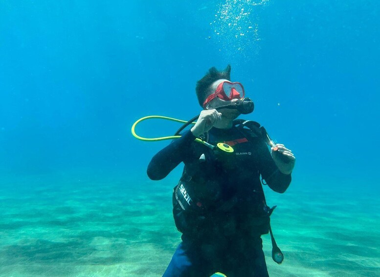 Picture 16 for Activity Diving course for beginners in turtle area Tenerife