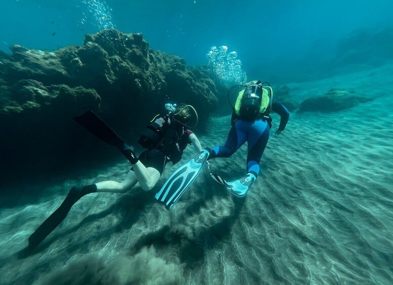 Picture 7 for Activity Diving course for beginners in turtle area Tenerife