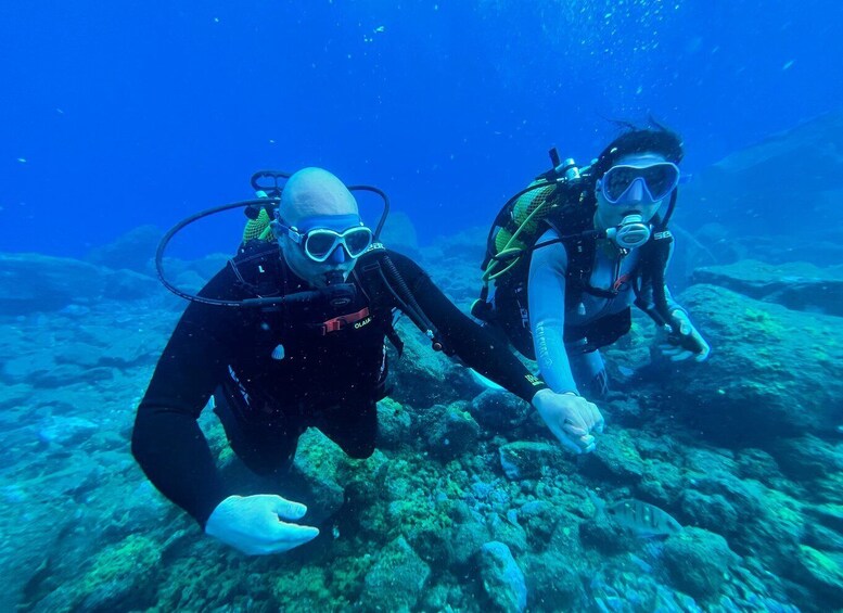 Picture 8 for Activity Diving course for beginners in turtle area Tenerife