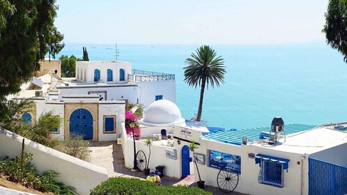 Hammamet: Carthage, Sidi Bou Said & Tunis Medina with Lunch