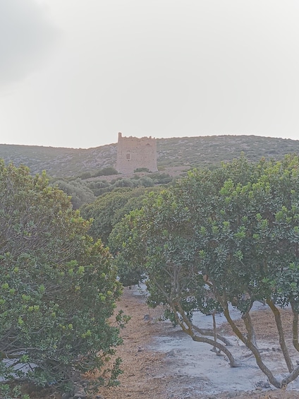 Picture 9 for Activity Chios : Welcome Concierge coffee break with a local