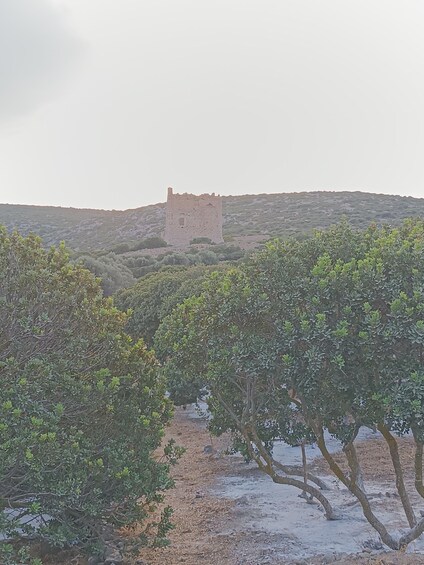 Picture 9 for Activity Chios : Welcome Concierge coffee break with a local