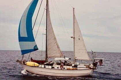 2 Hour Sailing Tour of Vineyard Haven Harbour and Sound