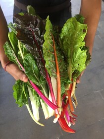 Marché fermier + Visite de la nourriture de rue x Chef formé au Michelin