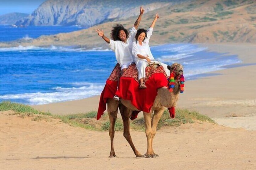 Camel Adventure with Lunch & Tequila Tasting