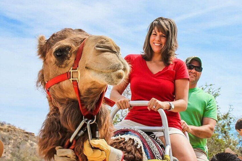 Camel Adventure with Tacos & Tequila