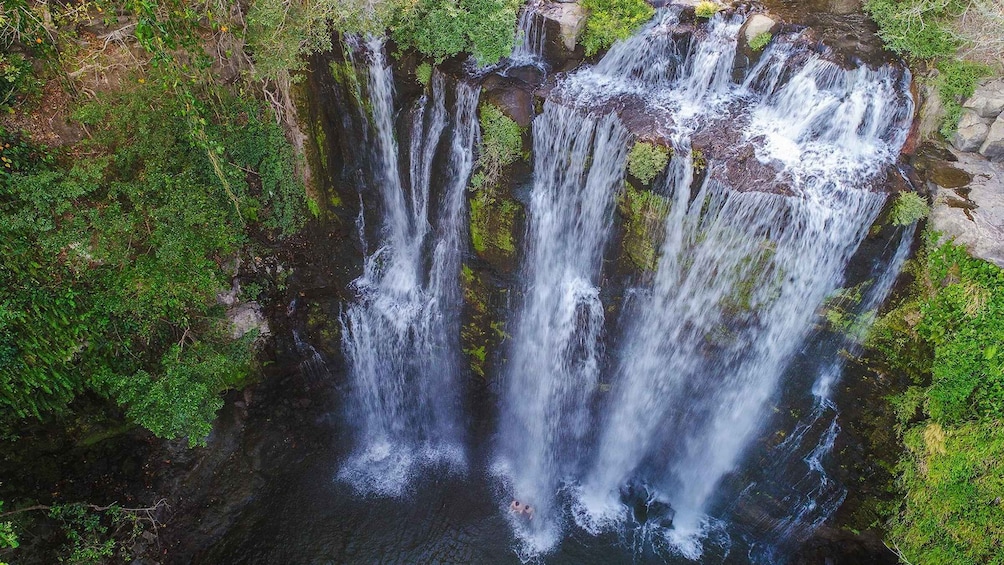 Picture 2 for Activity waterfall llanos del cortez chocolate and sloth tour