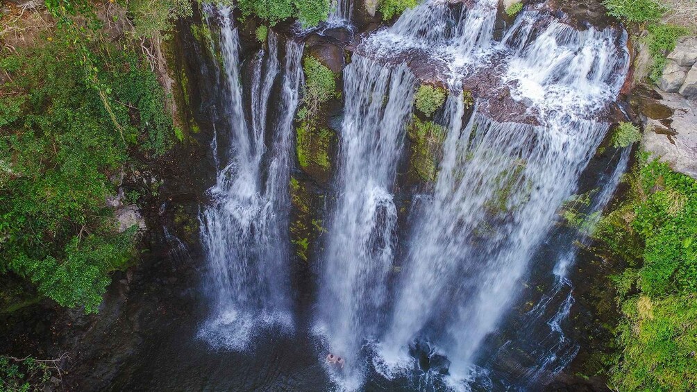 Picture 2 for Activity waterfall llanos del cortez chocolate and sloth tour