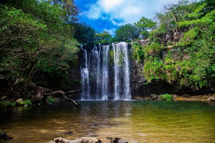 waterfall llanos del cortez chocolate and sloth tour