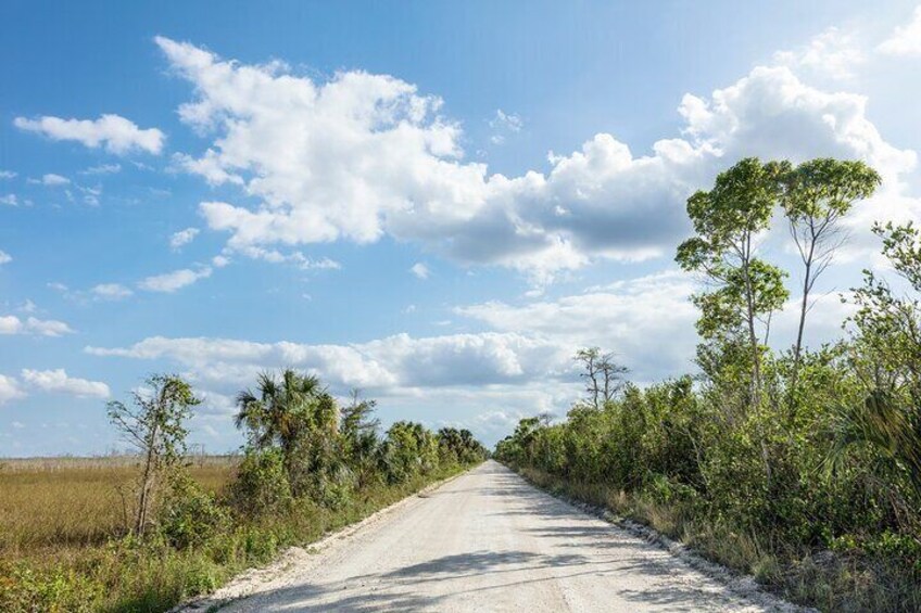 Scenic Loop Road