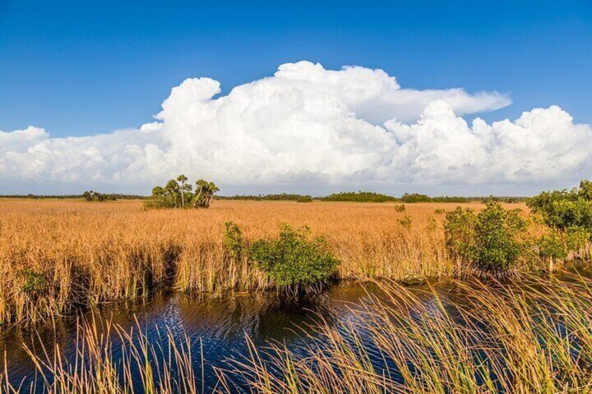 Tamiami Trail