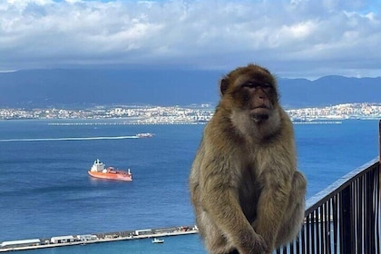 Gibraltar privat dagstur från Malaga