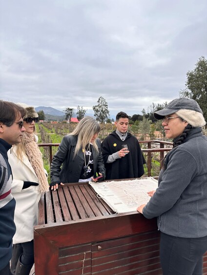 Picture 7 for Activity Santiago: Casa del Bosque Winery with Tasting and Lunch