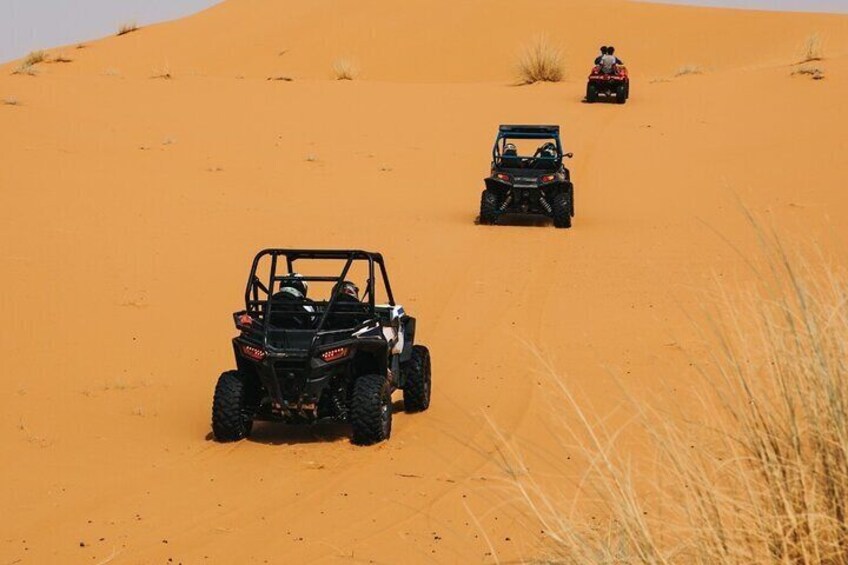 Private Guided Camel Ride and Buggy Tour Visit to Riyadh 