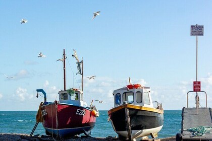 Tour of East Devon-Seaton Tram, Ladram Bay, Beer Village and More