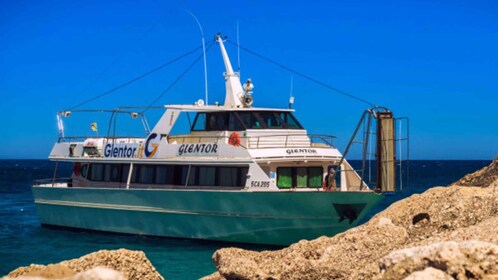 Arbatax: Boat Trip to Cala Luna and Fico Cave with Swimming