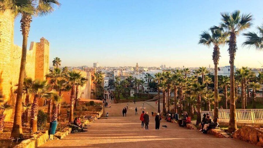 Rabat old Medina ,Hassan Tower and Kasbah Oudaya Walking tour
