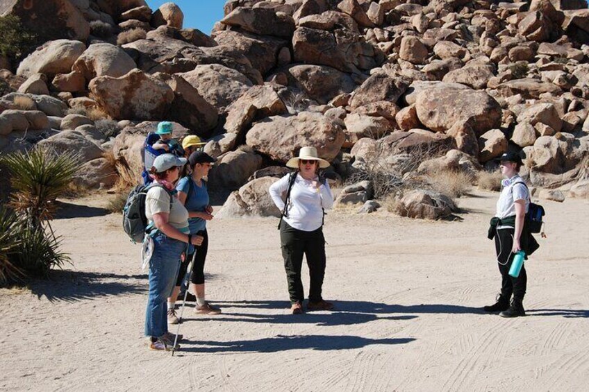 Joshua Tree Natural Wonders Walk: Plants, Animals and Rocks