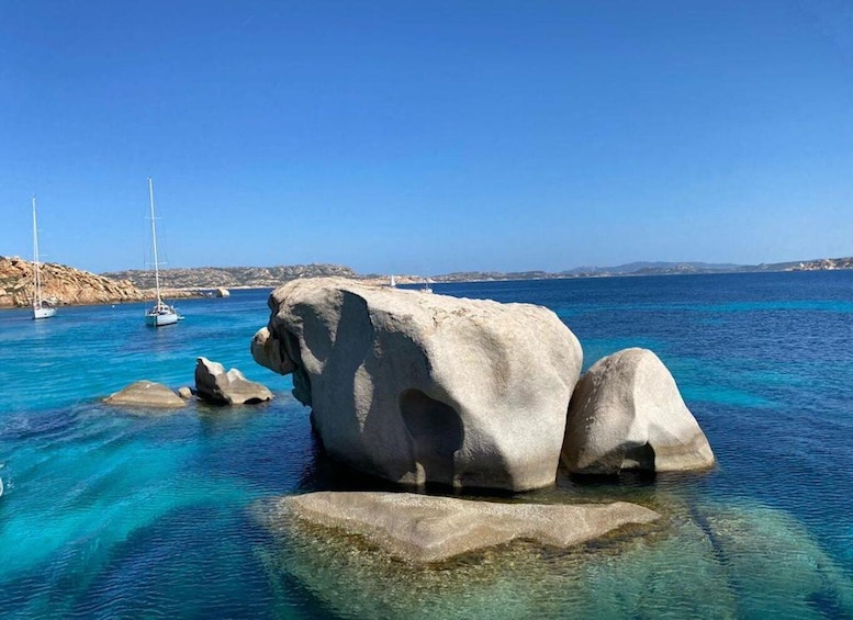 Picture 1 for Activity From Santa Teresa Gallura: La Maddalena Archipelago Cruise