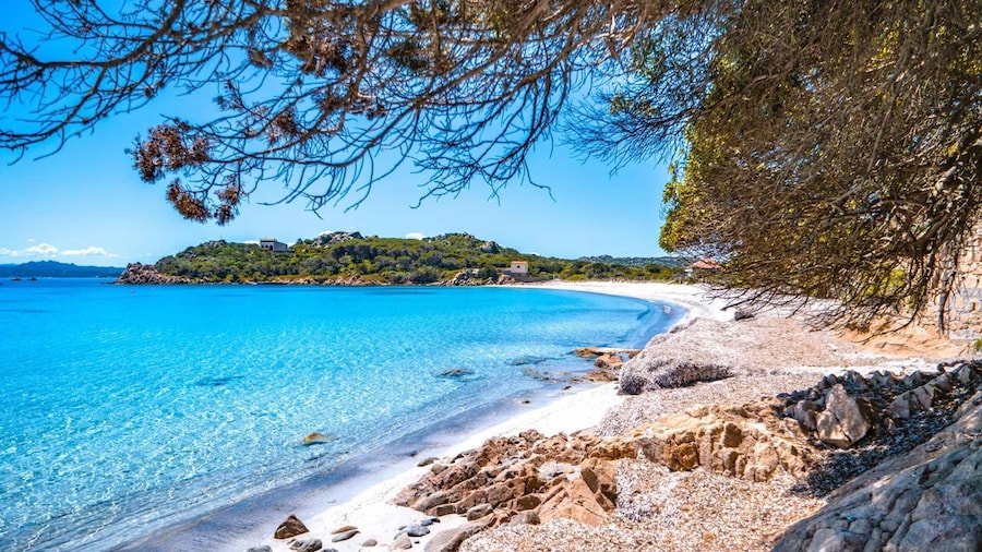 Picture 17 for Activity Arcipelago di La Maddalena in motonave