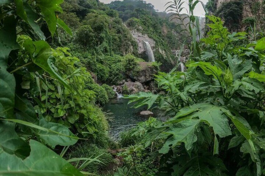 Hike and Swim in fresh springs and waterfalls in Guadalajara