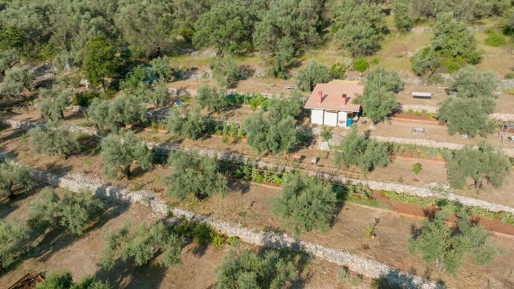 Picture 7 for Activity Farm-to-Table Private Dining @ Lefkada Micro Farm