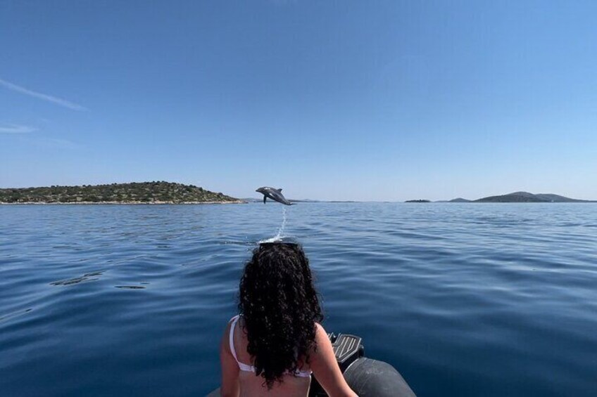 Speedboat Island Hooping with drinks from Zadar