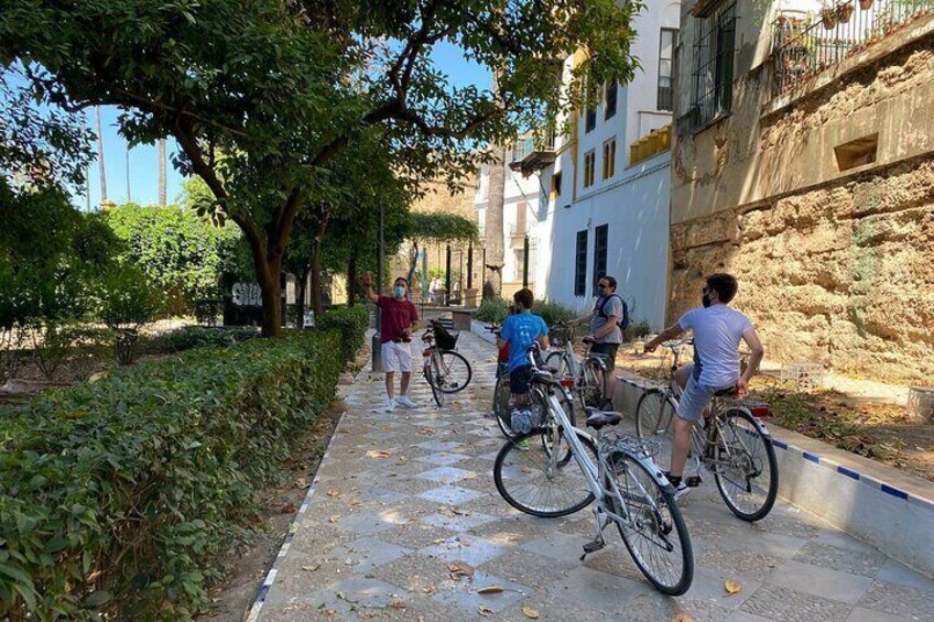 Private Bike Tour Seville