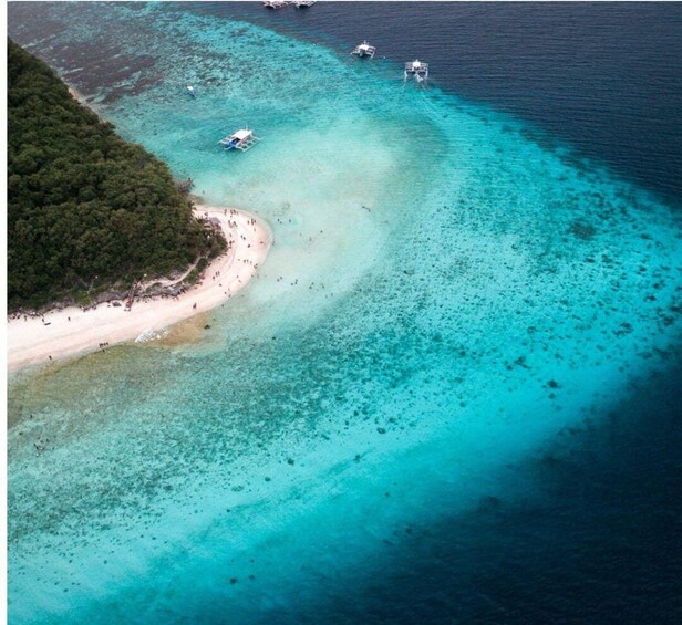 Picture 3 for Activity Cebu: Oslob Whale Shark Swim and Sumilon Island Day Tour