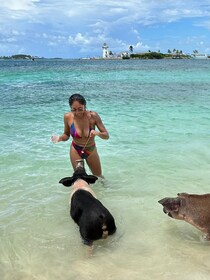 Bahamas: Swimming Pigs & Snorkelling Cruise with Lunch & Rum