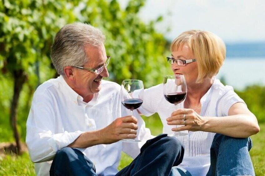 PRIVATE RHODES TOUR + Lunch Stop & WINE/OLIVE OIL Tasting