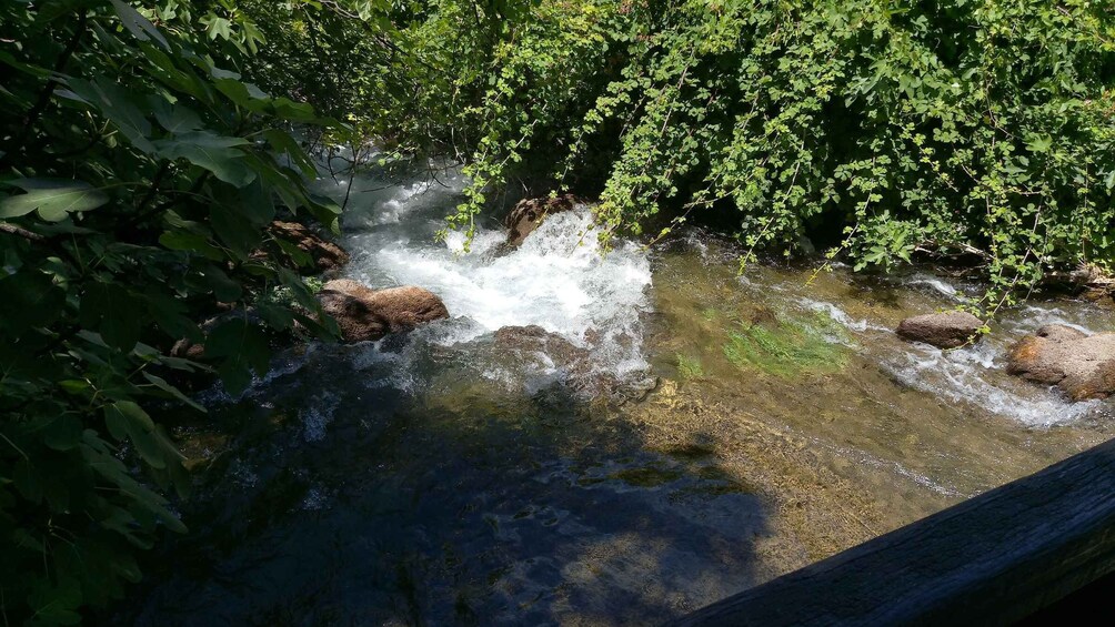 Picture 4 for Activity NP Krka walking tour- undicovered beauty