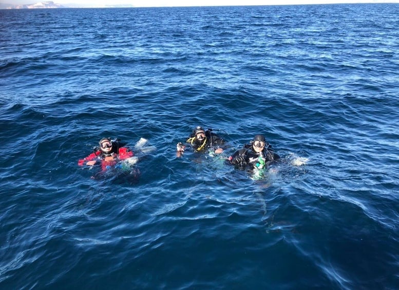 Picture 10 for Activity Villasimius: Capo Carbonara First Time Dive with Instructor
